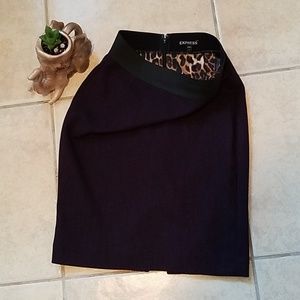 Express Pencil Skirt